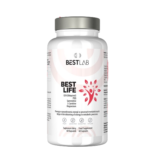 BestLife-removebg-preview.png